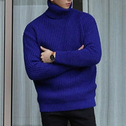 S8 No. 499 Pleated Knit Turtleneck